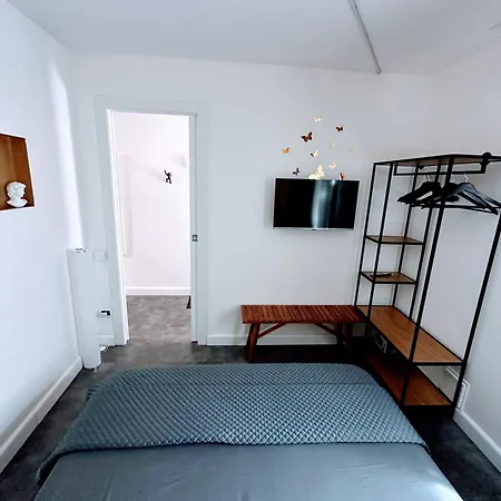 31 شقة روفيغو